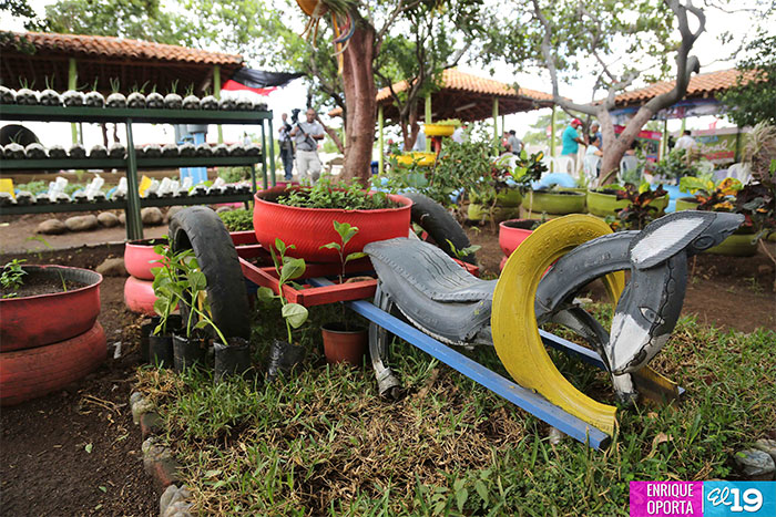 Realizarán feria de alimentos, nutrientes y medicina natural en el parque de ferias de Managua