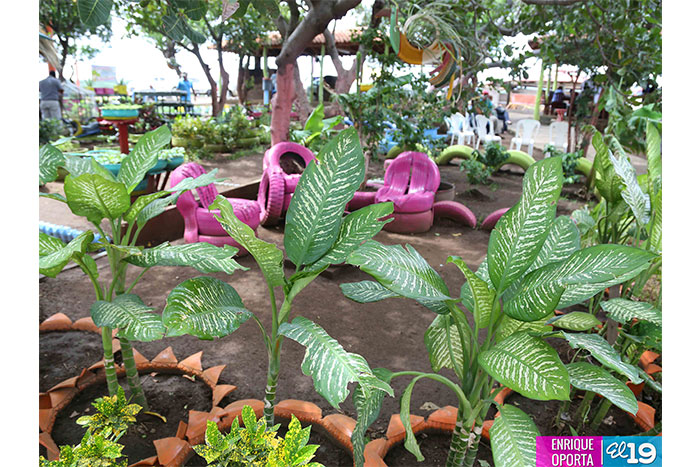 Realizarán feria de alimentos, nutrientes y medicina natural en el parque de ferias de Managua