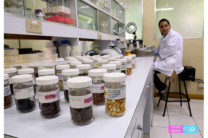 Gobierno crea condiciones para garantizar la agricultura del país