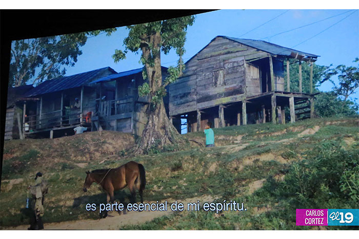 Estrenan documental nicaragüense “Miskitu” promovido por la Cinemateca Nacional