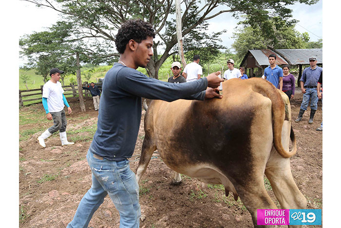 Estudiantes de agronomía y agricultura acompañan a familias productoras de Chontales