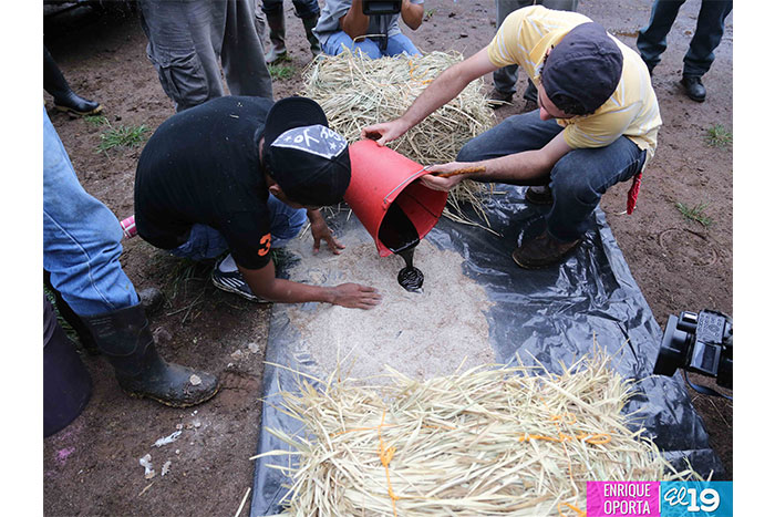 Estudiantes de agronomía y agricultura acompañan a familias productoras de Chontales