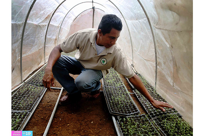 Productores apuestan por la agricultura sostenible para enfrentar déficit de lluvias