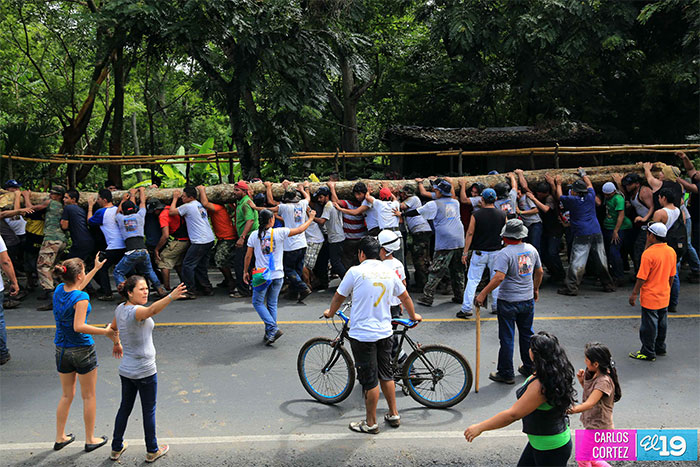 Celebran alegre tradición del Palo Lucio en Masaya