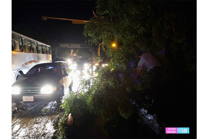 Gobierno y Alcaldía brindan ayuda solidaria ante fuerte aguacero en Managua