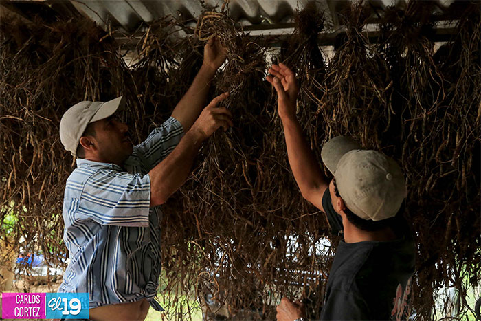 Inta capacita a pequeños ganaderos de la V región del país