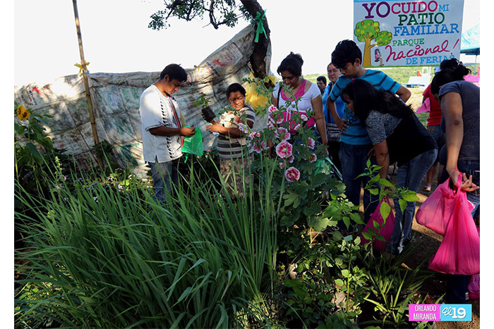 Nicaragua presenta Feria de los Alimentos, Nutrición y Medicina Natural