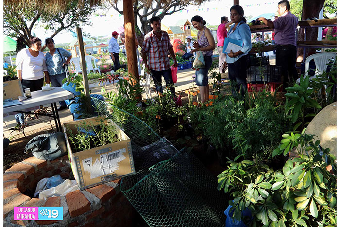 Nicaragua presenta Feria de los Alimentos, Nutrición y Medicina Natural