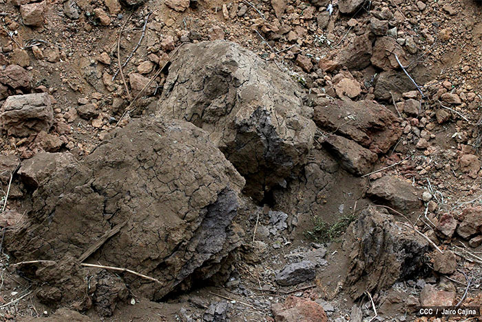 Incer Barquero: Hay evidencia de impacto de meteorito en cráter