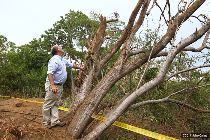 Incer Barquero: Hay evidencia de impacto de meteorito en cráter