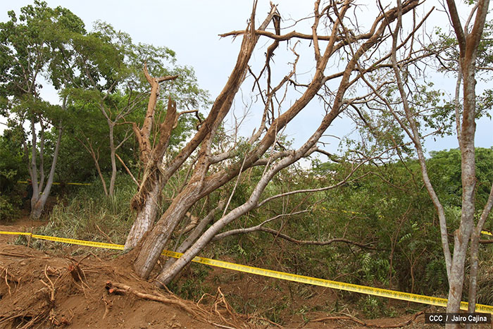 Incer Barquero: Hay evidencia de impacto de meteorito en cráter