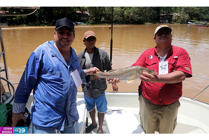 A la pesca del gran sábalo real