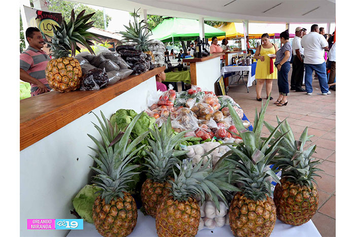 Gastronomía, cultura y arte capitalino en la Avenida de Bolívar a Chávez