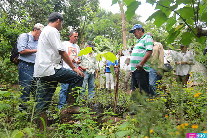 Al rescate de la Medicina Natural en Nicaragua