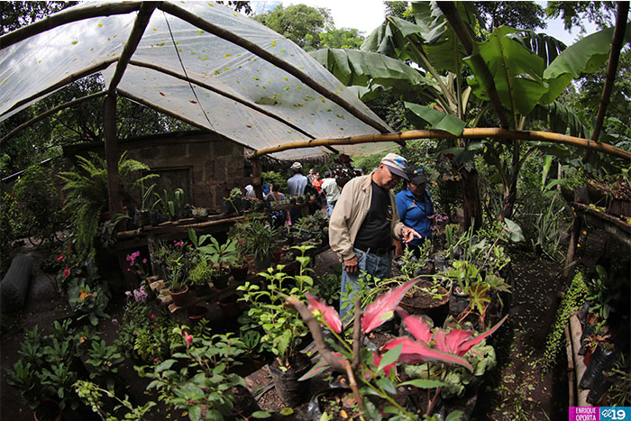 Al rescate de la Medicina Natural en Nicaragua