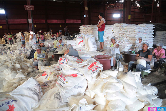 Gobierno envía más de 5 mil paquetes alimentarios al Caribe Norte