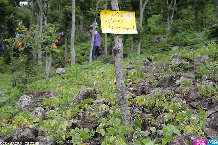 Productores de CA visitan Nicaragua para intercambiar ventajas del Sistema Quesungual 