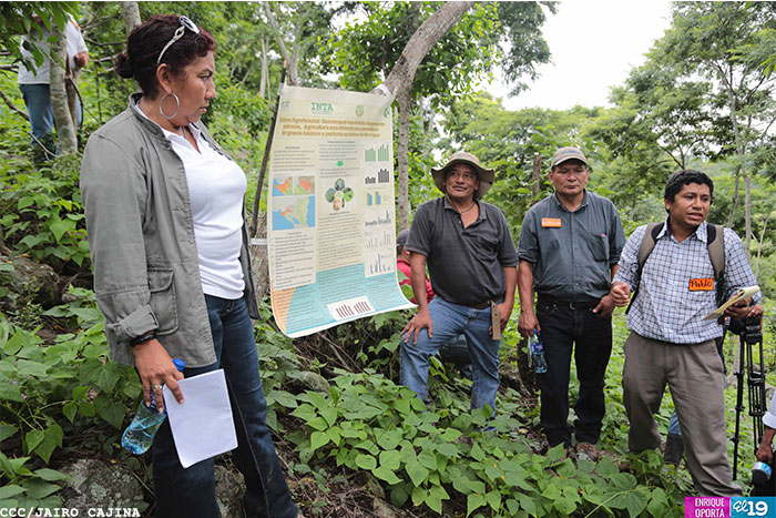 Productores de CA visitan Nicaragua para intercambiar ventajas del Sistema Quesungual 