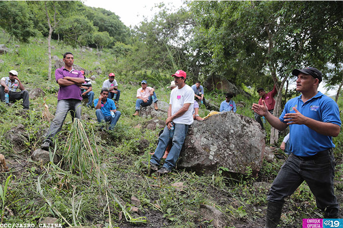 Productores de CA visitan Nicaragua para intercambiar ventajas del Sistema Quesungual 