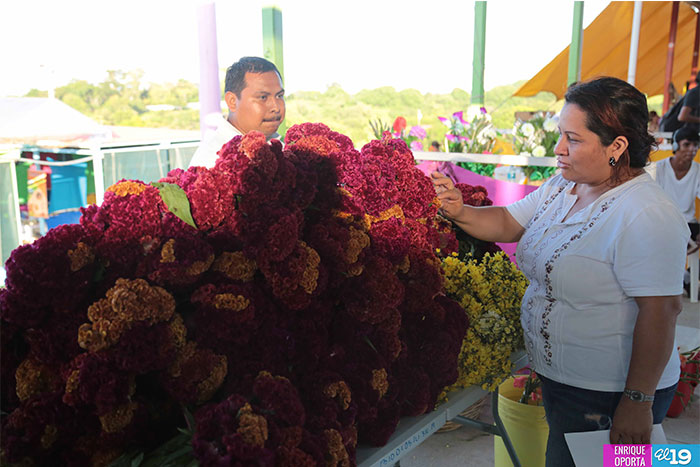 Realizan Feria de las Flores de cara al Día de los Fieles Difuntos