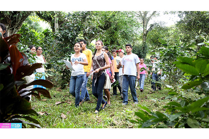 Avanza Plan Nacional de Rescate y Promoción de Plantas Medicinales