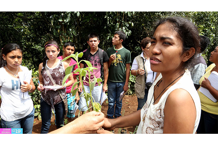 Avanza Plan Nacional de Rescate y Promoción de Plantas Medicinales