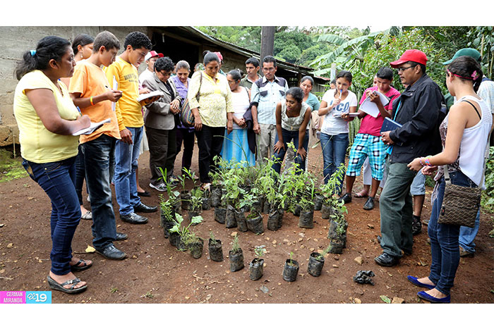Avanza Plan Nacional de Rescate y Promoción de Plantas Medicinales