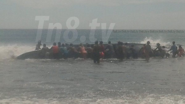 Encuentran ballena varada en playa Popoyo