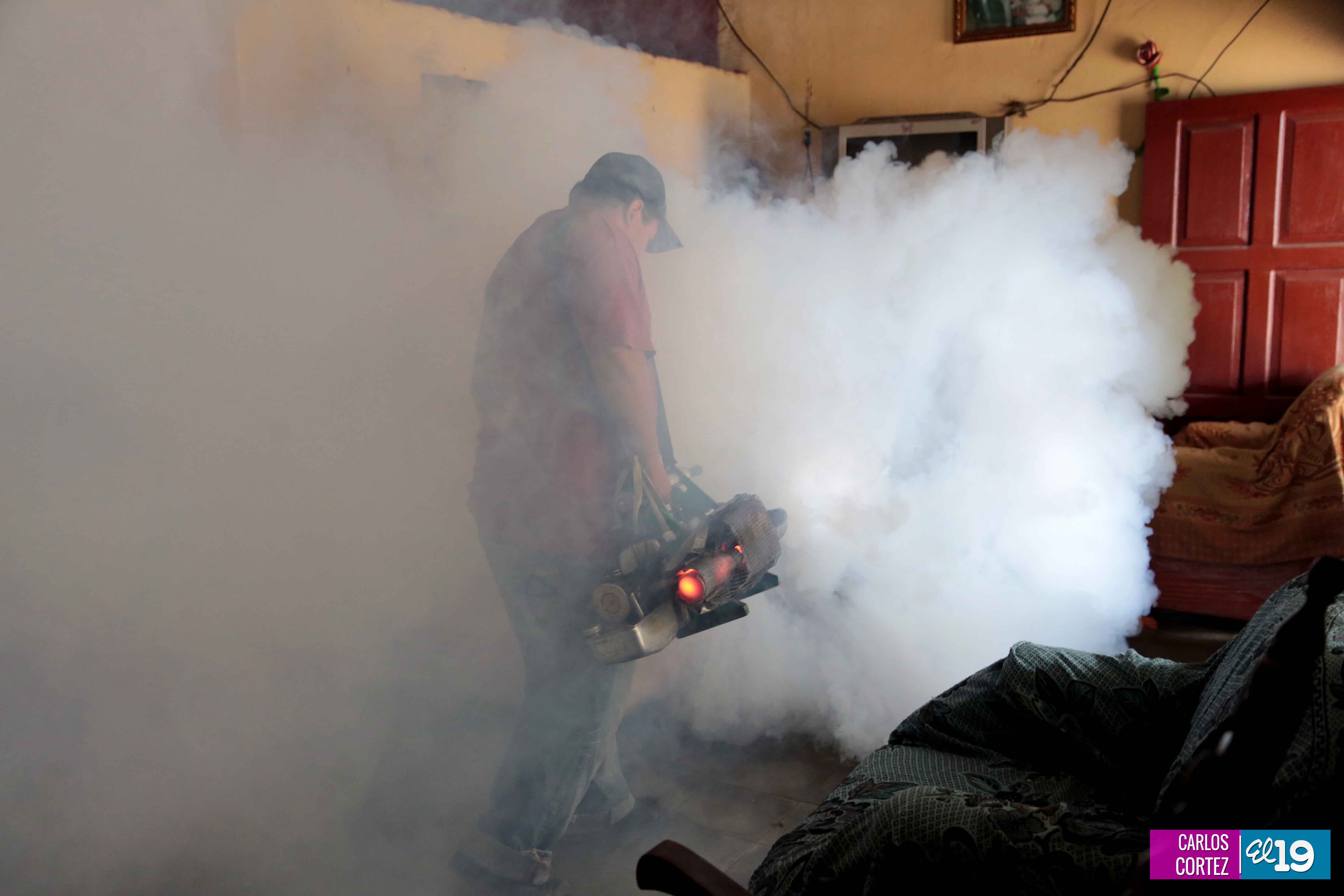 Intensa lucha contra el chikungunya en barrio Salomón Moreno