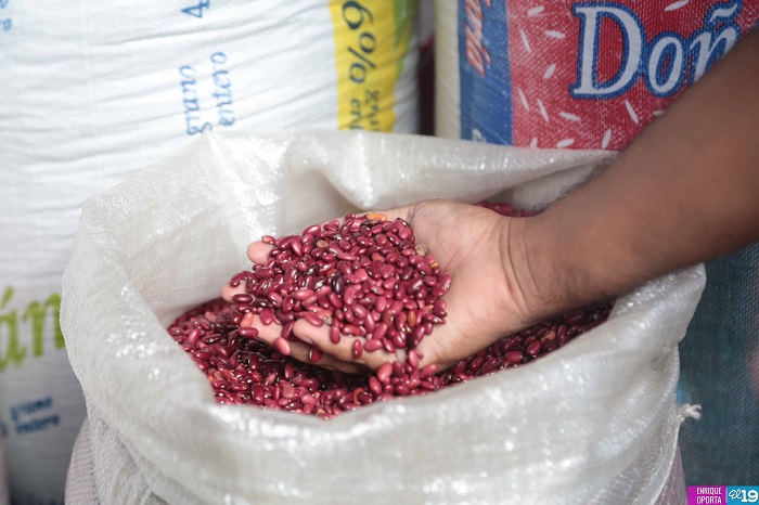 Comerciantes reportan baja en el precio de los frijoles rojos