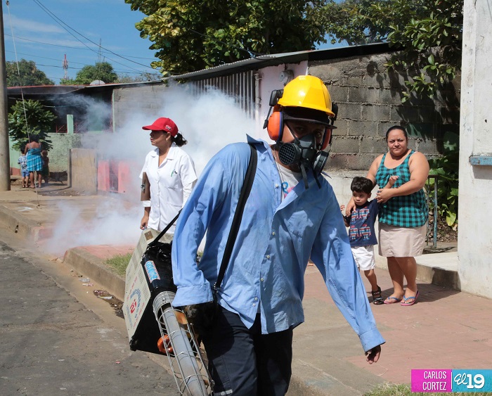 Sigue la cruzada para eliminar el chikungunya de nuestros hogares
