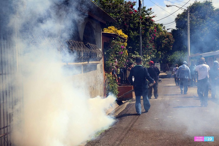 Avanza lucha contra el chikungunya