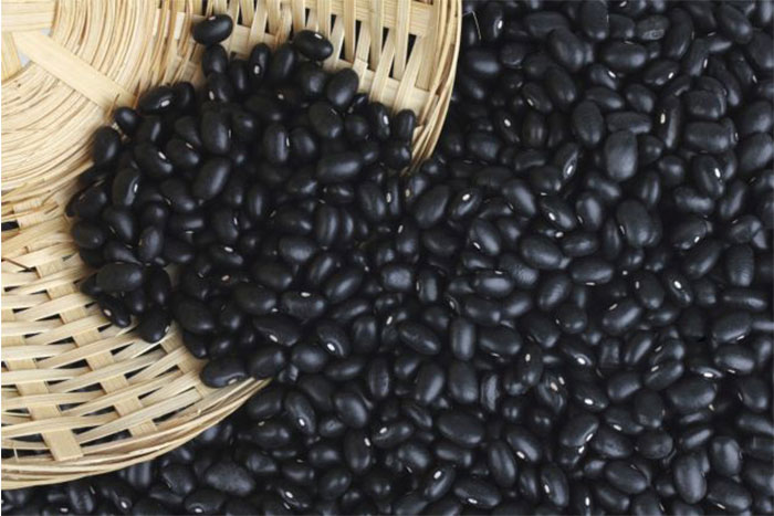Recomiendan consumo de frijoles negros por su alto valor nutricional