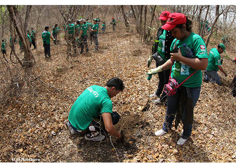 Reforestan riberas de Laguna de Asososca en campaña ambiental “Hagamos que el verde perdure”