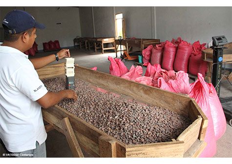Mujeres protagonizan emprendimiento en Cooperativa La Campesina