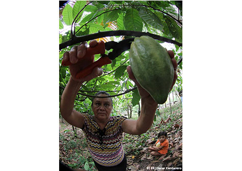 Mujeres protagonizan emprendimiento en Cooperativa La Campesina