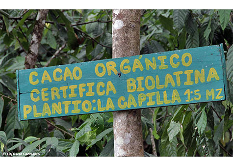 Mujeres protagonizan emprendimiento en Cooperativa La Campesina