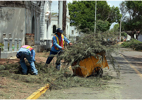 Alcaldía inicia trabajos de limpieza en cementerios de la capital