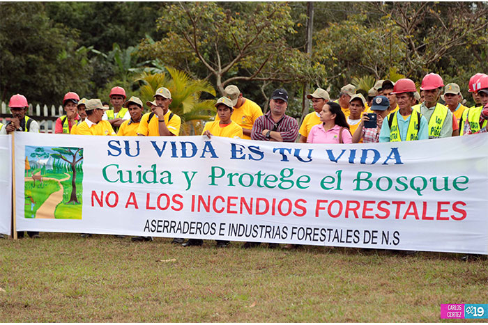 Lanzan campaña de prevención y control de incendios forestales en Nicaragua