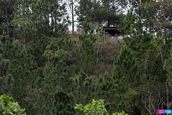 Lanzan campaña de prevención y control de incendios forestales en Nicaragua