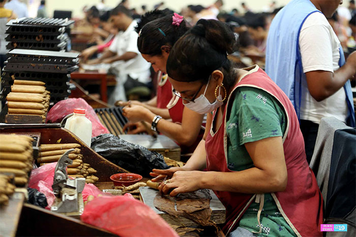Nicaragua impresiona por su producción y calidad de tabaco