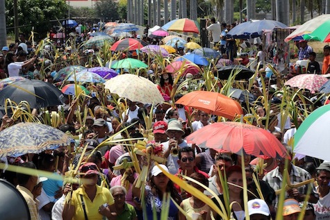Familias recuerdan con Procesión de la Burrita entrada triunfante de Jesús a Jesuralén