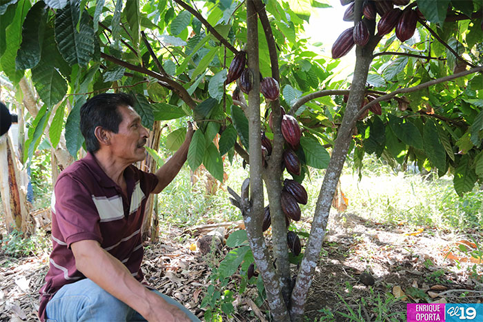 Inta capacita a productores de Masatepe en técnicas agro ecológicas