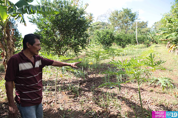 Inta capacita a productores de Masatepe en técnicas agro ecológicas