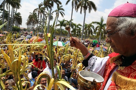 Familias recuerdan con Procesión de la Burrita entrada triunfante de Jesús a Jesuralén