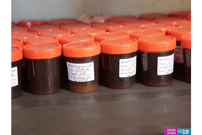 Miel de El Sauce se abre paso en el mercado internacional