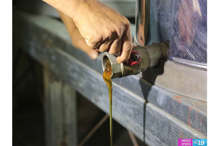 Miel de El Sauce se abre paso en el mercado internacional