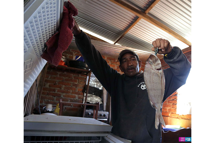 Llegó la energía a la Comunidad el Gigante 1 en Tola