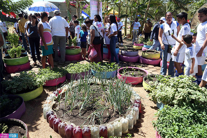 Patio Saludable para más de 20 mil familias en el 2015