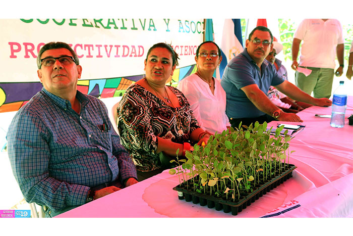 Patio Saludable para más de 20 mil familias en el 2015